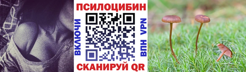 купить наркотик  Беслан  KRAKEN tor  Псилоцибиновые грибы MAGIC MUSHROOMS 